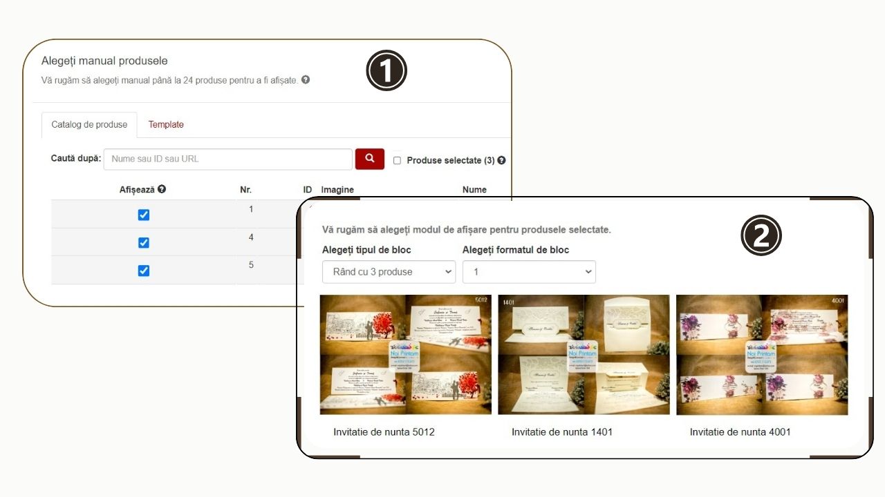 adaugare produse newsletter din catalog