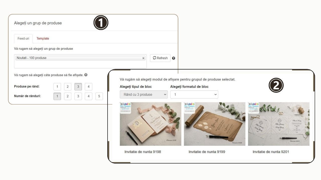 adaugare produse newsletter din feed